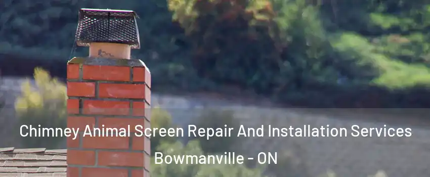 Chimney Animal Screen Repair And Installation Services Bowmanville - ON