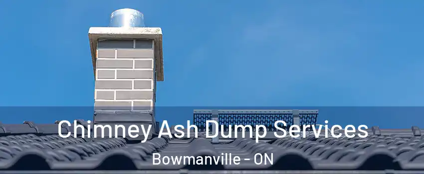 Chimney Ash Dump Services Bowmanville - ON