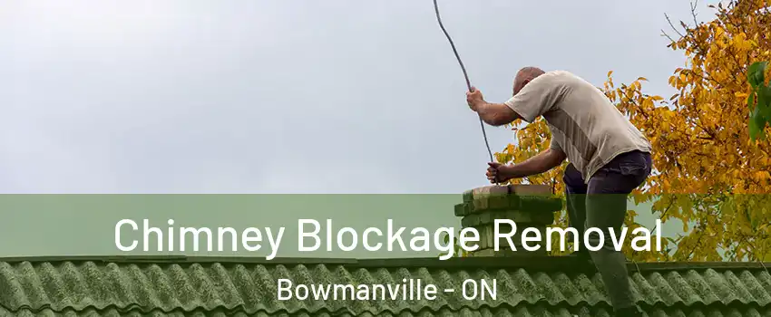  Chimney Blockage Removal Bowmanville - ON