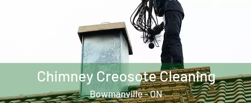 Chimney Creosote Cleaning Bowmanville - ON