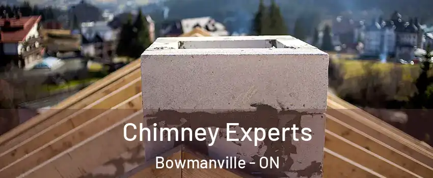 Chimney Experts Bowmanville - ON
