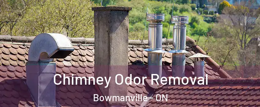 Chimney Odor Removal Bowmanville - ON