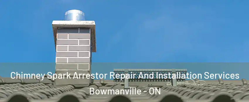 Chimney Spark Arrestor Repair And Installation Services Bowmanville - ON