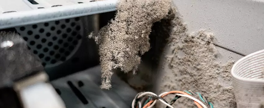 Clogged Dryer Vent Lint Cleaning in Bowmanville, Ontario