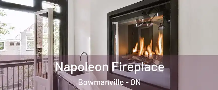 Napoleon Fireplace Bowmanville - ON